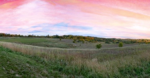 A pink, orange and blue sunset over a field.